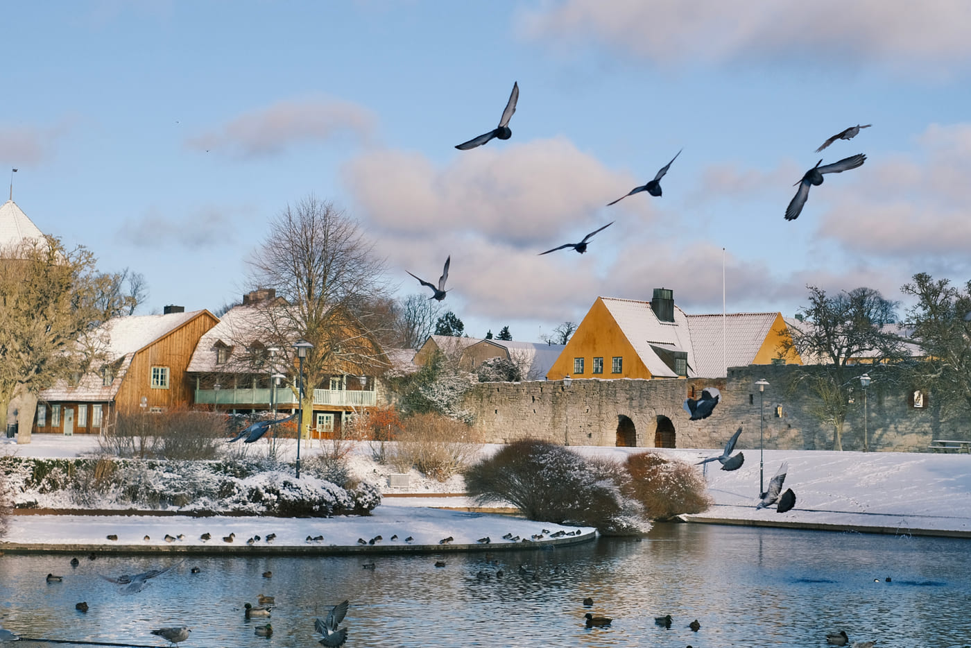 Snow-covered Visby in winter, with birds flying over the duck pond below the medieval town wall